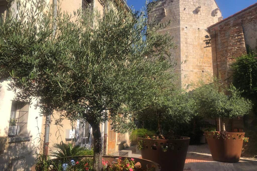 Вилла Carrer Del Sol Сент-Мари-ла-Мер Экстерьер фото