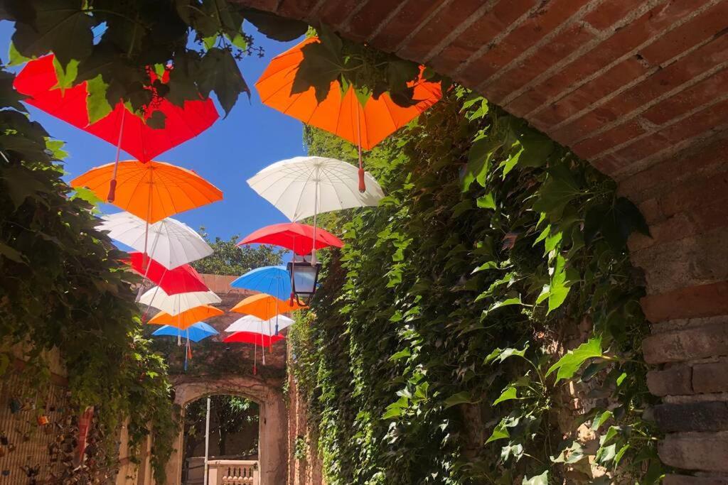 Вилла Carrer Del Sol Сент-Мари-ла-Мер Экстерьер фото